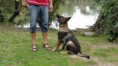 /album/vrh-c/dsc06536-jpg/