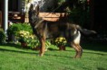/album/fotogalerie-buster/a1-jpg/